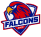 Falcons logo